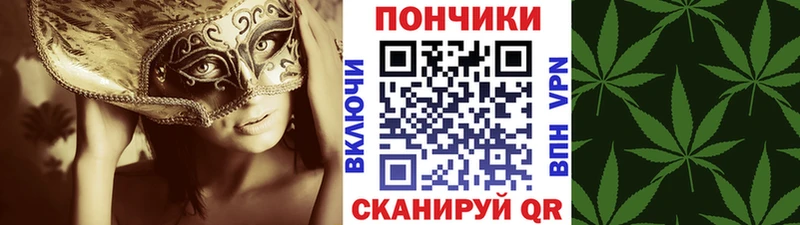 Купить закладки  Биробиджан  Каннабис SATIVA & INDICA 